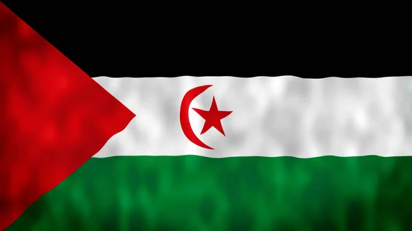 サハラ アラブ民主共和国の旗 国内の3Dサハラ アラブ民主共和国の国旗がシームレスなループアニメーションを振っている サハラ アラブ民主共和国の旗4K背景スローモーションビデオ — ストック写真