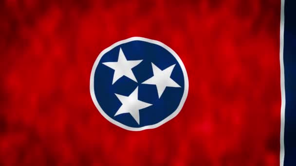 Tennessee Állam Zászlaja Tennessee Állam Zászlaja Amerikai Egyesült Államok News — Stock videók