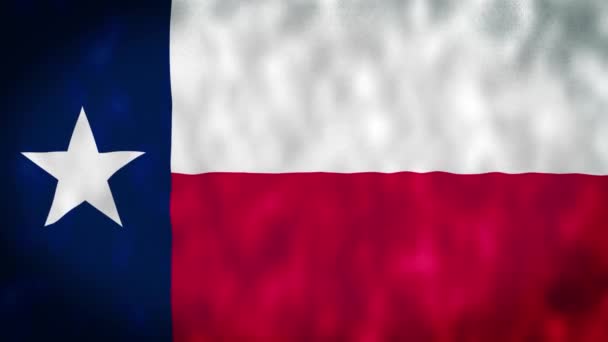 Bandeira Estado Texas Bandeira Texas Vídeo Acenando Vento Fundo Realista — Vídeo de Stock