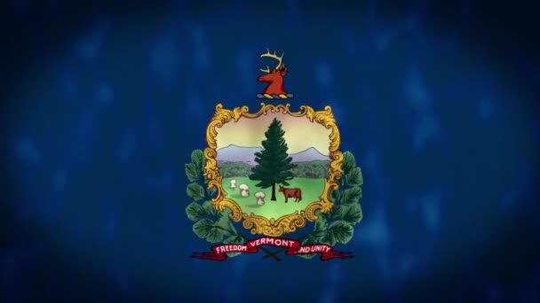 Flag State Vermont Vermont State Flag Usa Waving Wind Flag — Stock Video
