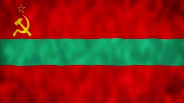 Transnistria bayrağı 3 boyutlu animasyon sallıyor. Transnistria Ulusal Bayrağı. 4K bayrağı dipsiz döngü canlandırması.