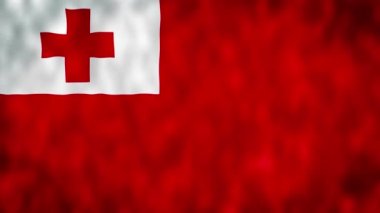 Tonga Dalgalanan Bayrağı, Tonga Bayrağı, Tonga Dalgalanan Animasyon, Tonga Bayrağı 4K Görüntüleri. Nuku'alofa.