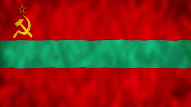 Bandera Transnistria Está Agitando Animación Bandera Nacional Transnistria Animación Bucle — Vídeo de stock