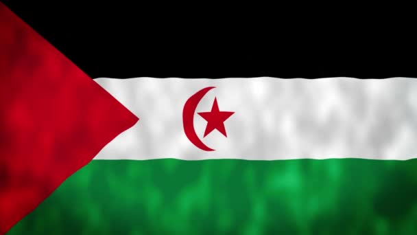 Sahrawská Vlajka Arabské Demokratické Republiky National Sahrawi Arab Democratic Republic — Stock video