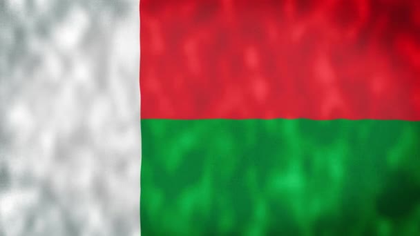 Vlag Van Madagaskar Vlag Van Madagaskar Hoge Kwaliteit Resolutie — Stockvideo