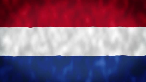 Dutch Flag Seamless Smooth Waving Animation Wonderful Flag Netherlands Folds — Stock Video