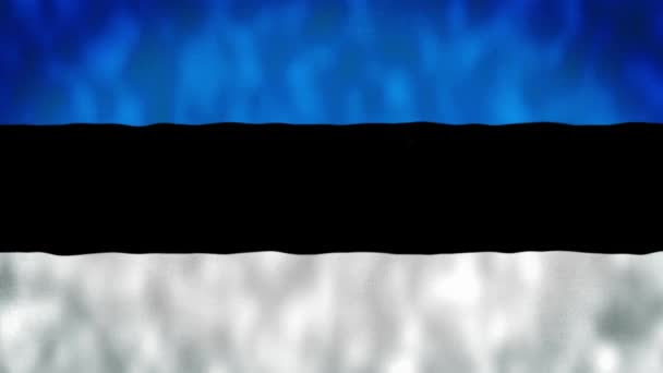 Estonia Bandera Seamless Loop Animación Una Hermosa Vista Del Video — Vídeo de stock