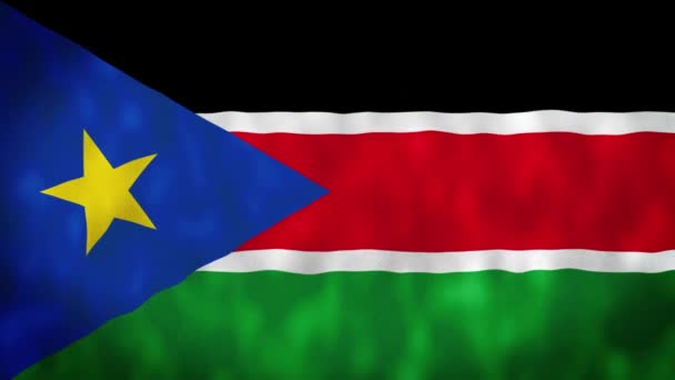 Güney Sudan Dalgalanan Bayrağı Güney Sudan Bayrağı Güney Sudan Dalgalanan — Stok video
