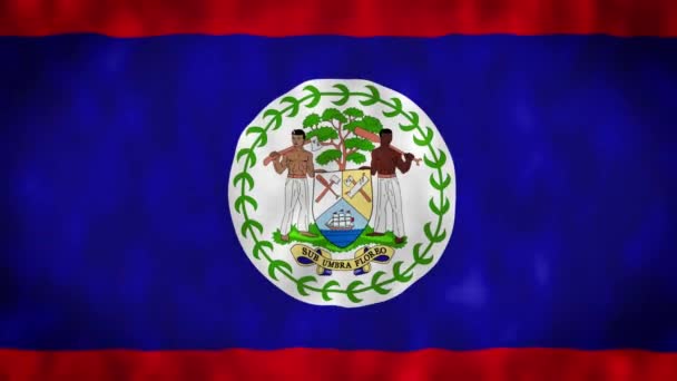Bandiera Sventolante Del Belize Bandiera Del Belize Bandiera Del Belize — Video Stock