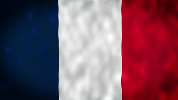 Waving Fabric Texture Flag France France Satin Flag Animation Real — Stock Video