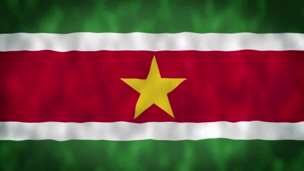 Bandera Surinam Ondeando Bandera Surinam Bandera Surinam Ondeando Animación Bandera — Vídeo de stock