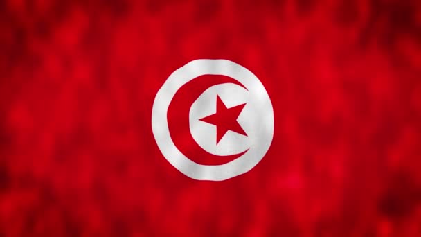 Tunézia Zászlója Zászló Lobogott Szélben Animáció Tunézia Zászló Lengett Szélben — Stock videók