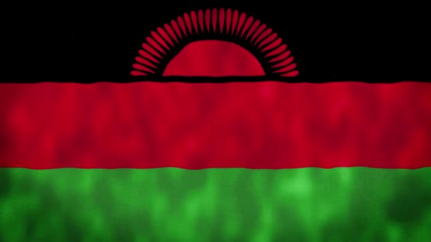 Signo Nacional Animado Malawi Bandera Animada Malawi Bandera Nacional Malawi — Vídeo de stock