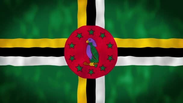 Dominikánská Národní Vlajka Vlaje Větru Bezproblémová Smyčková Animace Dominiky Mávající — Stock video