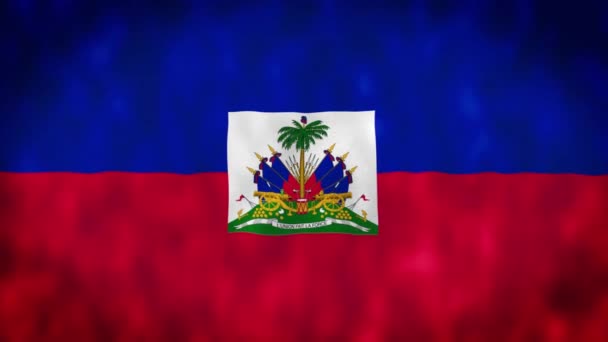 Bandera Oficial Haití Bandera Haiti — Vídeo de stock