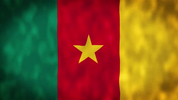 Bayrağın Bayrak Dokusunu Sallayan Kamerun Boyutlu Animasyon Arkaplanı Kamerun Bayrağı — Stok video