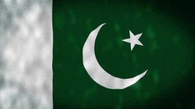 Pakistan bayrağı kusursuz döngü animasyonu 4K. Pakistan İslam Cumhuriyeti Ulusal Bayrağı. El sallayan Pakistan bayrağı 3D.