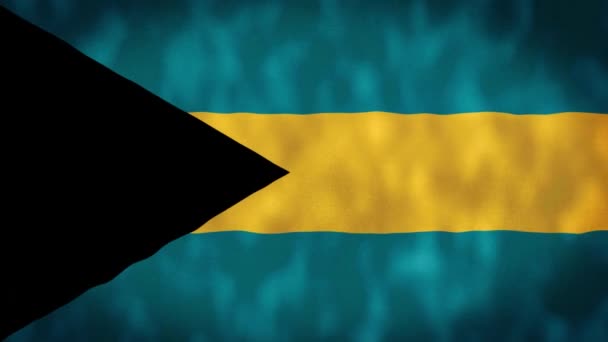 Bahamas Viftande Flagga Bahamas Flagga Bahamas Flagga Viftande Animation Bahamas — Stockvideo