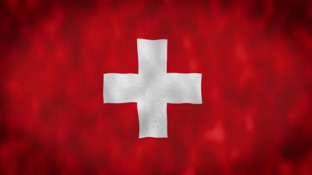 瑞士国旗 高质量的4K分辨率 Bern Switzerland — 图库视频影像