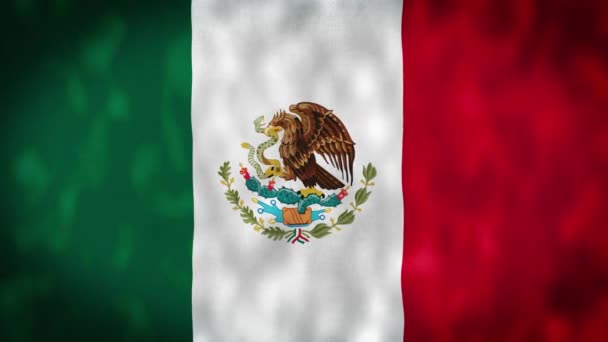 Mexikos Flaggvideo Mexiko Flagga Viftande Sömlös Loop Video Animation Mexiko — Stockvideo