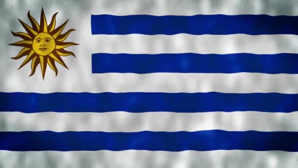 Vlag Van Uruguay Hoge Kwaliteit Resolutie — Stockvideo