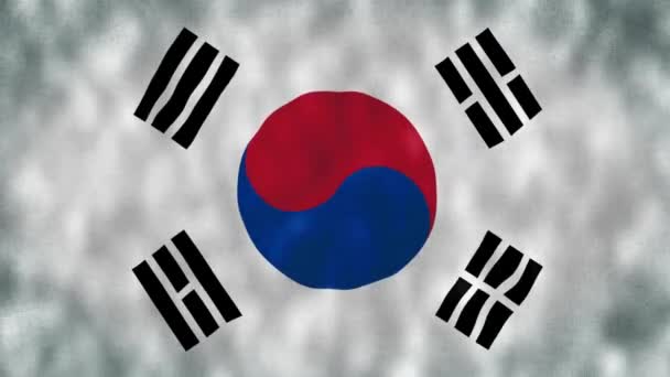 한국의 국기는 국가의 국기에서 고품질의 텍스처로 바람에 흔들려 국기의 실없는 — 비디오