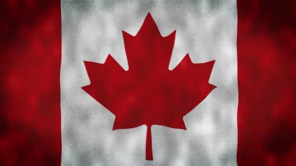 加拿大国旗摇曳在风力视频镜头4K 现实的加拿大国旗背景 加拿大国旗环状布衣 — 图库视频影像
