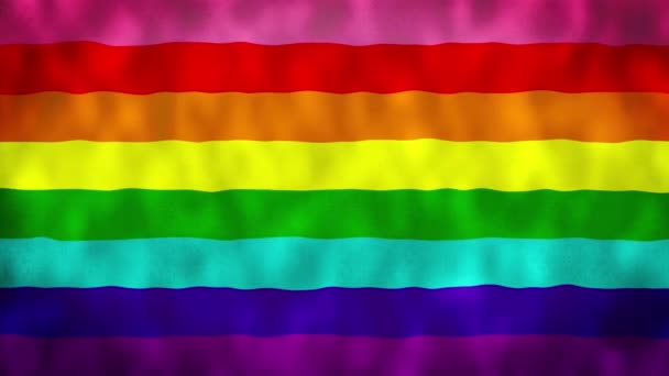 Orijinal Gurur Bayrağı Gay Gökkuşağı Eşcinsel Amerika Lezbiyen Abd Igbtq — Stok video