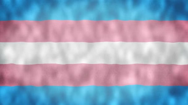 变性人旗 无缝地环绕着跨性别骄傲旗2D动画 代表自尊 非二元 男性运动 — 图库视频影像