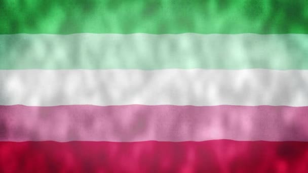 Bendera Abrosexual Bendera Kebanggaan Abrosexual Melambai Bendera Kebanggaan Abrosexual — Stok Video