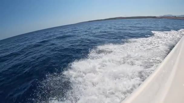Speed Boat Speed Boat Floats Beautiful Red Sea Water Slow — Stock Video