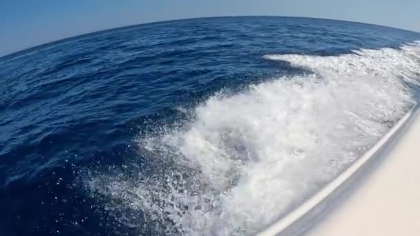 Ταχύπλοο Speed Boat Επιπλέει Στο Όμορφο Κόκκινο Θαλασσινό Νερό Αργή — Αρχείο Βίντεο