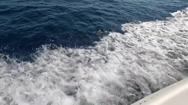 Szybka Łódź Speed Boat Pływa Pięknej Czerwonej Wodzie Morskiej Zwolniony — Wideo stockowe