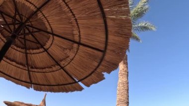 Plaj şemsiyesi Plaj şemsiyesi ve deniz kenarındaki kumlu sahilde güneş yatağı. Deniz tatil köyü. Deniz kenarında. tatil kavramı.