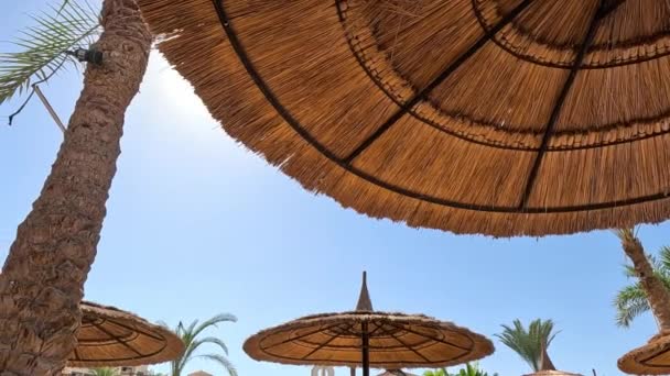 우산과 해안에 Sunbed 리조트 해변이요 — 비디오