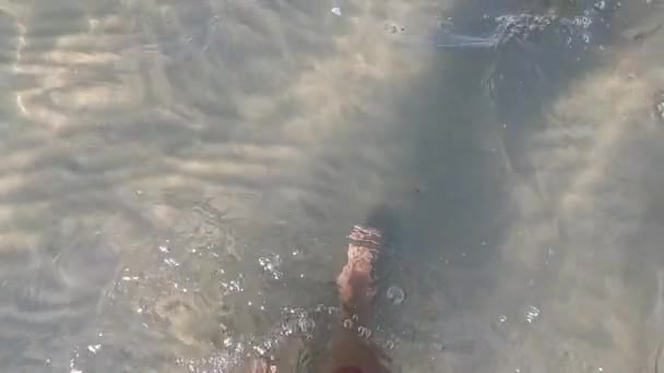 Areia Linha Costa Molhada Com Pegadas Descalças Pernas Femininas Finas — Vídeo de Stock