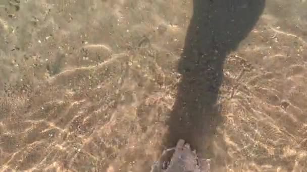 Sabbia Bagnata Sulla Costa Con Impronte Scalze Gambe Piedi Maschili — Video Stock