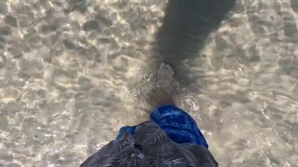 Mokrý Pobřežní Písek Bosými Otisky Mužské Nohy Nohy Kráčející Podél — Stock video