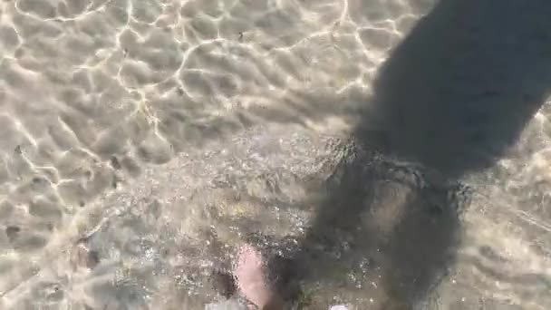 Çıplak Ayaklı Islak Sahil Kumu Erkek Bacakları Ayakları Kumlu Sahilde — Stok video