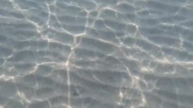 Kızıl Deniz Yüzeyi. Yumuşak dalgalı Bluewater Panorama arka planı. Mavi deniz ya da okyanus su yüzeyinde ve suyun altında. Su dalgası dokusu. Yavaş Hareket.