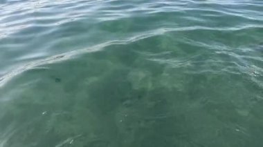 Kızıl Deniz Yüzeyi. Yumuşak dalgalı Bluewater Panorama arka planı. Mavi deniz ya da okyanus su yüzeyinde ve suyun altında. Su dalgası dokusu. Yavaş Hareket.