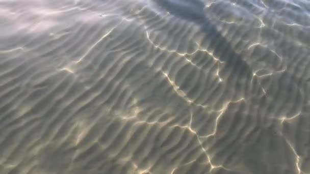 Kızıl Deniz Yüzeyi Yumuşak Dalgalı Bluewater Panorama Arka Planı Mavi — Stok video