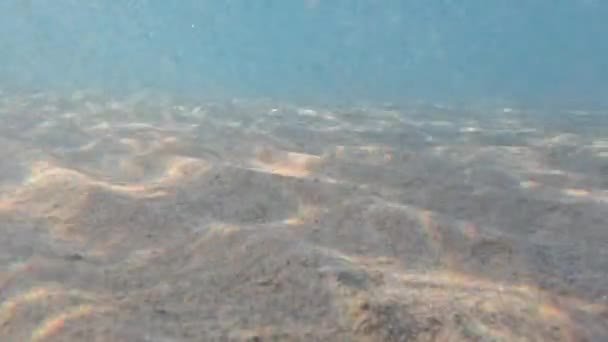 Superfície Mar Vermelho Bluewater Panorama Fundo Com Ondas Suaves Azul — Vídeo de Stock