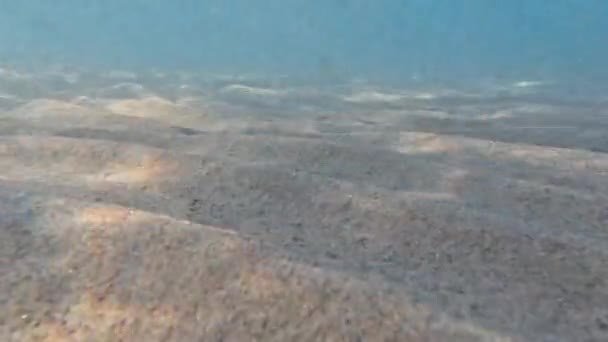 Superfície Mar Vermelho Bluewater Panorama Fundo Com Ondas Suaves Azul — Vídeo de Stock