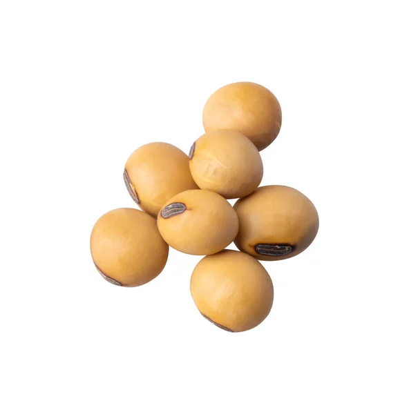 Close Soybean Isolated White Background — Stock Photo, Image
