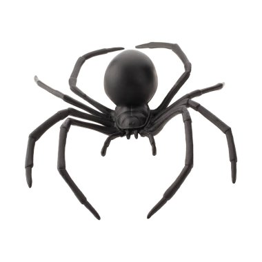 Beyaz arka planda izole edilmiş sahte plastik örümcek oyuncağı.