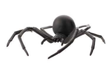 Beyaz arka planda izole edilmiş sahte plastik örümcek oyuncağı.