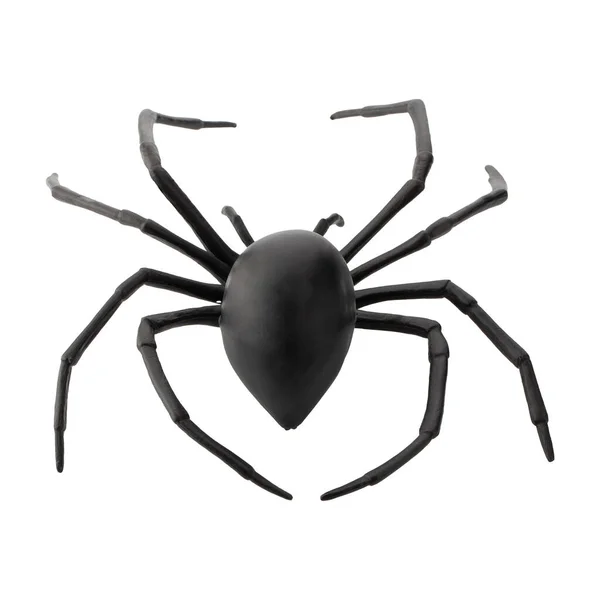 stock image Fake rubber spider toy isolated over a white background	