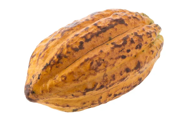Cacaofruit Rauwe Cacaobonen Cacaopod Verse Cacaofruit Geïsoleerd Witte Ondergrond — Stockfoto