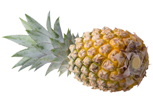 Ananas Fruit Ananasschijfjes Geïsoleerd Een Witte Achtergrond — Stockfoto